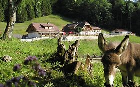 Ferienwohnung Hochsteinalm